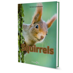 Squirrels - Letlæsning